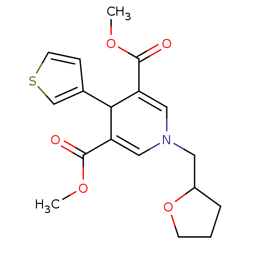 PNG