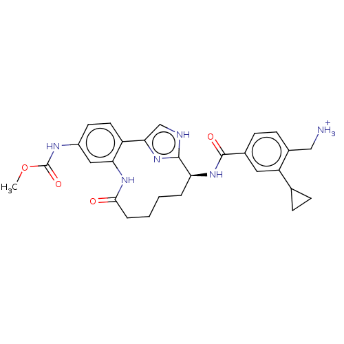 Chemical structure of BindingDB Monomer ID 388554