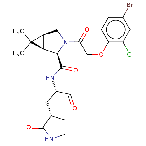 Chemical structure of BindingDB Monomer ID 448296