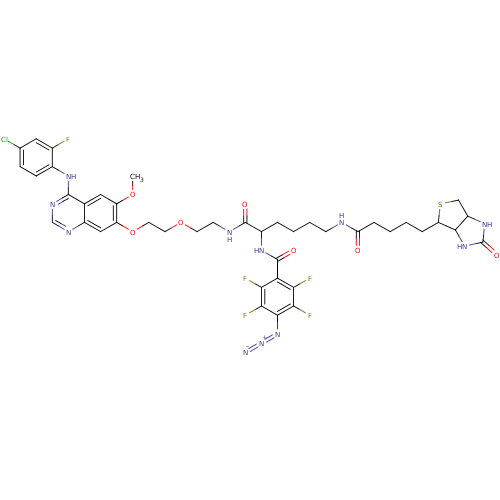 Chemical structure of BindingDB Monomer ID 50175257
