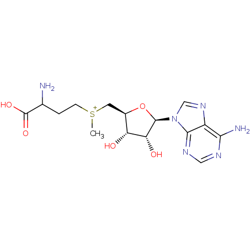 Chemical structure of BindingDB Monomer ID 50403124