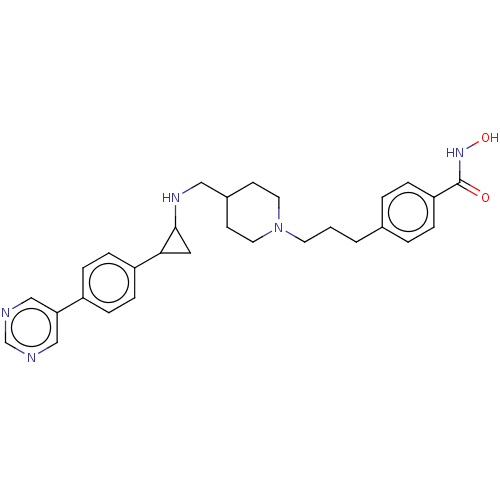 Chemical structure of BindingDB Monomer ID 556405